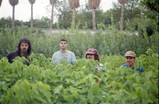 Foto de los componentes del grupo valenciano de rock KU! entre unas plantas